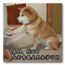 同為造價人，他是如何做到年入百萬的