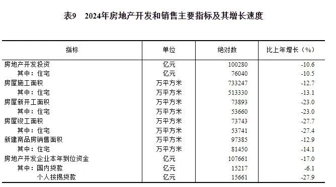 2024年房地產開發(fā)和銷售主要指標及其增長速度.jpg